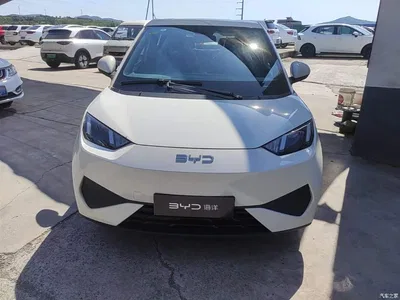 2025 BYD Seagull Smart Drive Edition 305km Vitality Version, фото 3, лот 10262994
