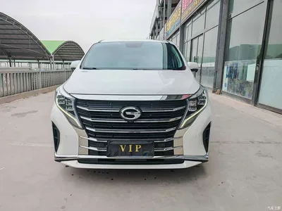 2021 GAC Trumpchi Trumpchi M8 Leading Show Series 390T Ultimate Edition, фото 2, лот 11067018