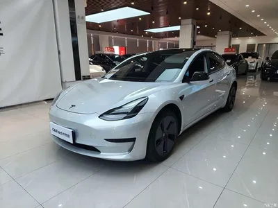 2021 Tesla Model 3 Standard Range Rear-Wheel Drive Upgrade, фото 1, лот 11199301