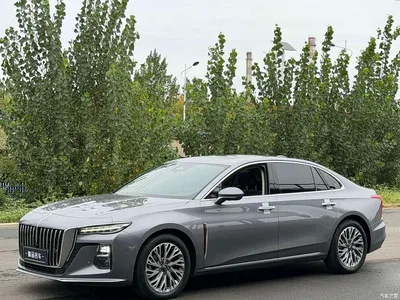 2023 Hongqi H5 2.0T Auto Smart Connect Flag Comfort, фото 1, лот 10289037