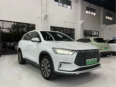 2019 BYD Song Pro New Energy EV High Power Premium Model, фото 3, лот 10273321