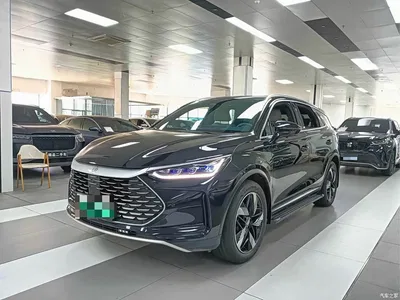 2024 BYD Tang New Energy DM-i Glory Edition 112KM Deluxe, фото 1, лот 10273173