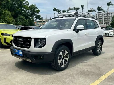 2021 Haval Big Dog 1.5T DCT 2WD Labrador Edition, фото 1, лот 10361945