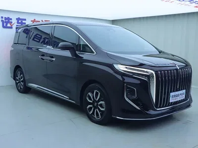 2023 Hongqi HQ9 2.0T Smart Connect Flagship, фото 2, лот 10286903