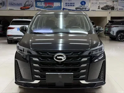 2021 GAC Trumpchi Trumpchi M6 PRO 270T DCT Luxury Edition, фото 2, лот 10416776
