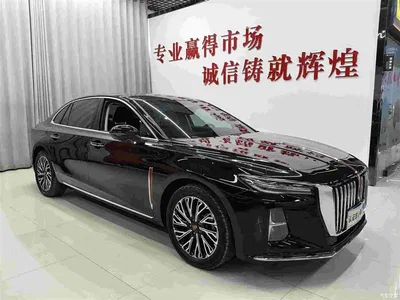 2024 Hongqi H5 2.0T Automatic Smart Connect Flag Smooth Edition, фото 3, лот 10304232