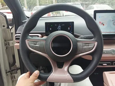 2025 BYD Seagull Smart Drive Edition 305km Vitality Version, фото 4, лот 10262886