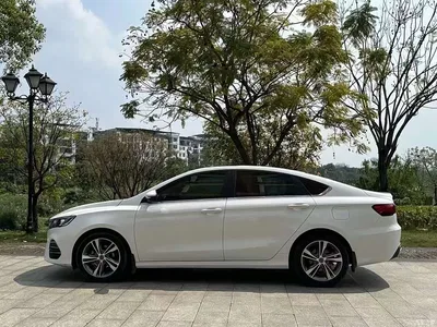2020 Geely Binrui Facelift 1.4T CVT Asian Games Edition, фото 4, лот 10629778