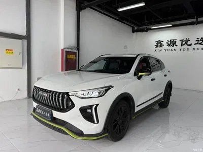2021 Haval Chitu Boost Edition 1.5T Platinum Rabbit, фото 1, лот 11515607