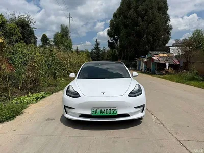 2019 Tesla Model 3 (Import) Performance High-Efficiency All-Wheel Drive Version, фото 2, лот 10357124