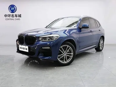 2018 BMW X3 xDrive30i Leading M Sport Package China V, фото 1, лот 10420991