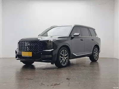 2025 GAC Trumpchi Trumpchi GS8 Pilot Series 2.0TGDI 2WD Luxury Edition 5-seater, фото 1, лот 10415316