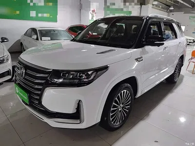 2019 Changan CS95 2.0T 2WD Luxury, фото 1, лот 10812298