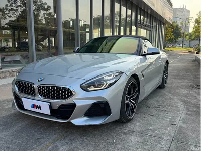 2019 BMW Z4 sDrive 25i M Sport Package, фото 1, лот 10769325