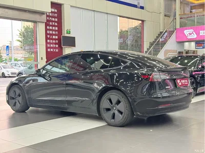 2022 Tesla Model 3 Model Rear-Wheel Drive Version, фото 4, лот 10392196