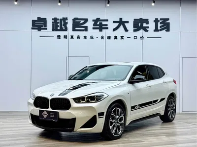 2021 BMW X2 Facelift sDrive25i Shadow Night Edition, фото 1, лот 10412347