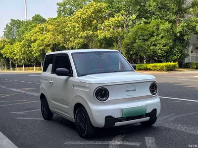 2023 Geely Galaxy Panda Mini 200km Endurance Bear, фото 3, лот 10432300