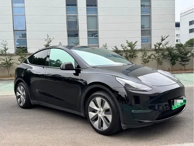 2021 Tesla Model Y Standard Range Rear-Wheel Drive, фото 3, лот 11191881