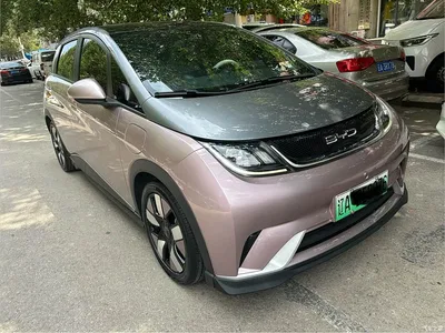2021 BYD Dolphin 401km Knight Edition, фото 3, лот 10254708
