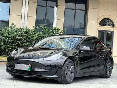 2022 Tesla Model 3 Model Rear-Wheel Drive Version, фото 1, лот 10774638
