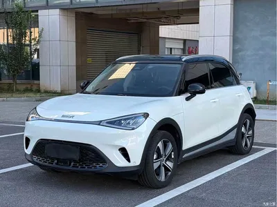 2024 smart Elf #1 Agile Standard Edition, фото 1, лот 10343546