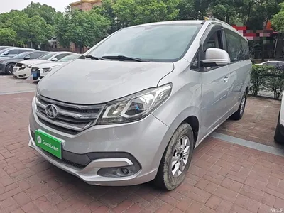 2015 SAIC Maxus Maxus G10 2.4L Manual Commemorative Edition, фото 2, лот 11149863