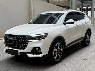 2023 Haval H6 National Trend Edition 1.5T Automatic Champion, фото 1, лот 10281379