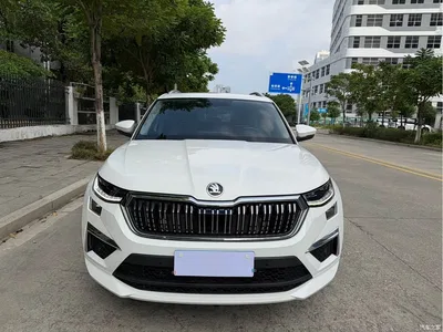 2022 Škoda Kodiaq TSI330 7-Seater FWD Luxury Edition, фото 2, лот 11248743