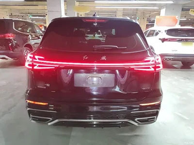 2023 Hongqi HS5 2.0T AWD Flag Enjoy Pro Edition, фото 4, лот 10289810