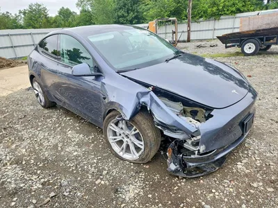 2023 TESLA MODEL Y, фото 4, лот 10853346