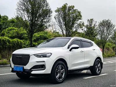 2018 Haval F5 1.5T i-Trend, фото 1, лот 11571668