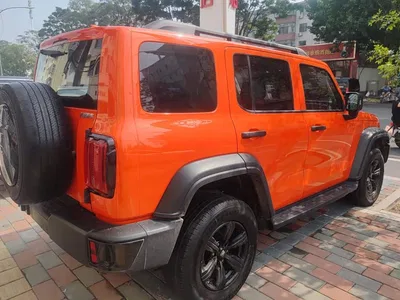 2024 Tank 300 Model 2.0T Challenger, фото 3, лот 11204547