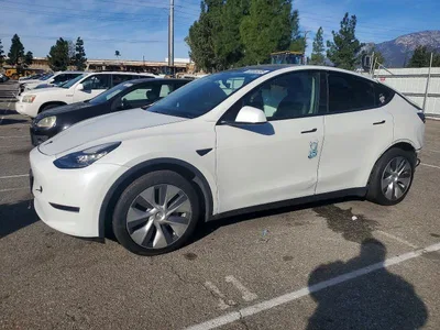 2021 TESLA MODEL Y, фото 1, лот 10857246