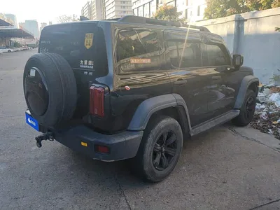 2021 Tank 300 Off-road Version 2.0T Conqueror, фото 3, лот 11585147