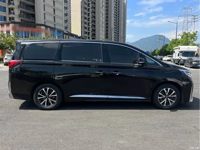 2021 GAC Trumpchi Trumpchi M8 Leading Show Series 390T Luxury Edition, фото 4, лот 10418457