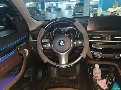 2022 BMW X1 xDrive25Li Premium, фото 3, лот 11190934