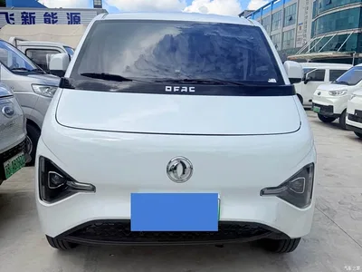 2025 Dongfeng Ruilida V8E Model Bright Window Edition, фото 2, лот 11161108