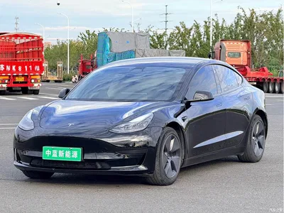 2023 Tesla Model 3 Rear-Wheel Drive, фото 1, лот 10368497
