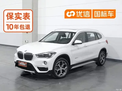 2018 BMW X1 xDrive20Li Premium Model, фото 1, лот 11193779