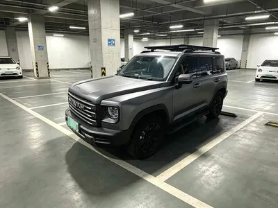 2024 Haval Meng Long NEV Hi4 102 Pro, фото 1, лот 10599934