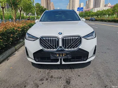 2025 Bmw X3, фото 2, лот 10232454