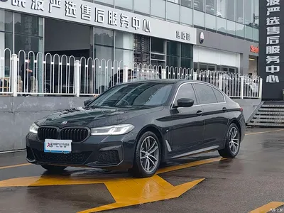 2021 BMW 5 Series 525Li M Sport Package, фото 1, лот 10459943