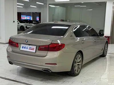 2019 BMW 5 Series New Energy 530Le Luxury Package, фото 4, лот 11190924