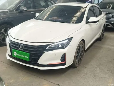 2021 Changan Ruicheng CC Blue Whale Edition 1.5T DCT Luxury, фото 2, лот 10273458