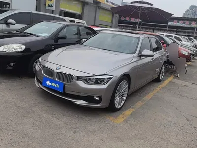 2018 BMW 3 Series 320Li Fashion Style, фото 1, лот 10624800