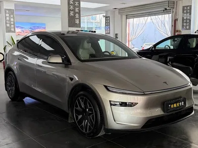 2025 Tesla Model Y L, фото 3, лот 10482338