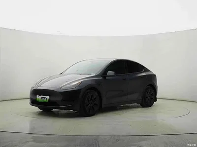 2024 Tesla Model Y Rear-Wheel Drive Version, фото 1, лот 11220780