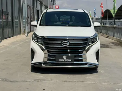 2021 GAC Trumpchi Trumpchi M8 Leading Show Series 390T Prestige Edition, фото 2, лот 10416349