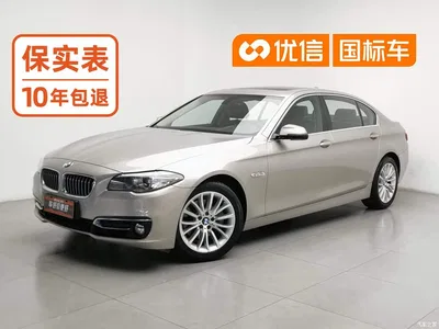 2017 BMW 5 Series 525Li Luxury Design Package, фото 1, лот 10632910