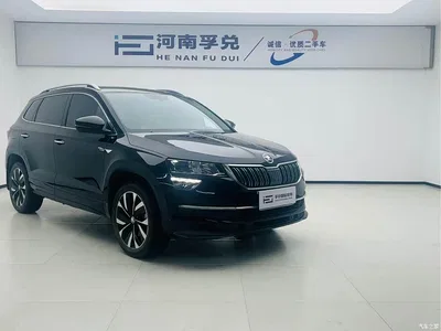 2023 Škoda Karoq TSI280 Luxury Edition, фото 3, лот 10348607